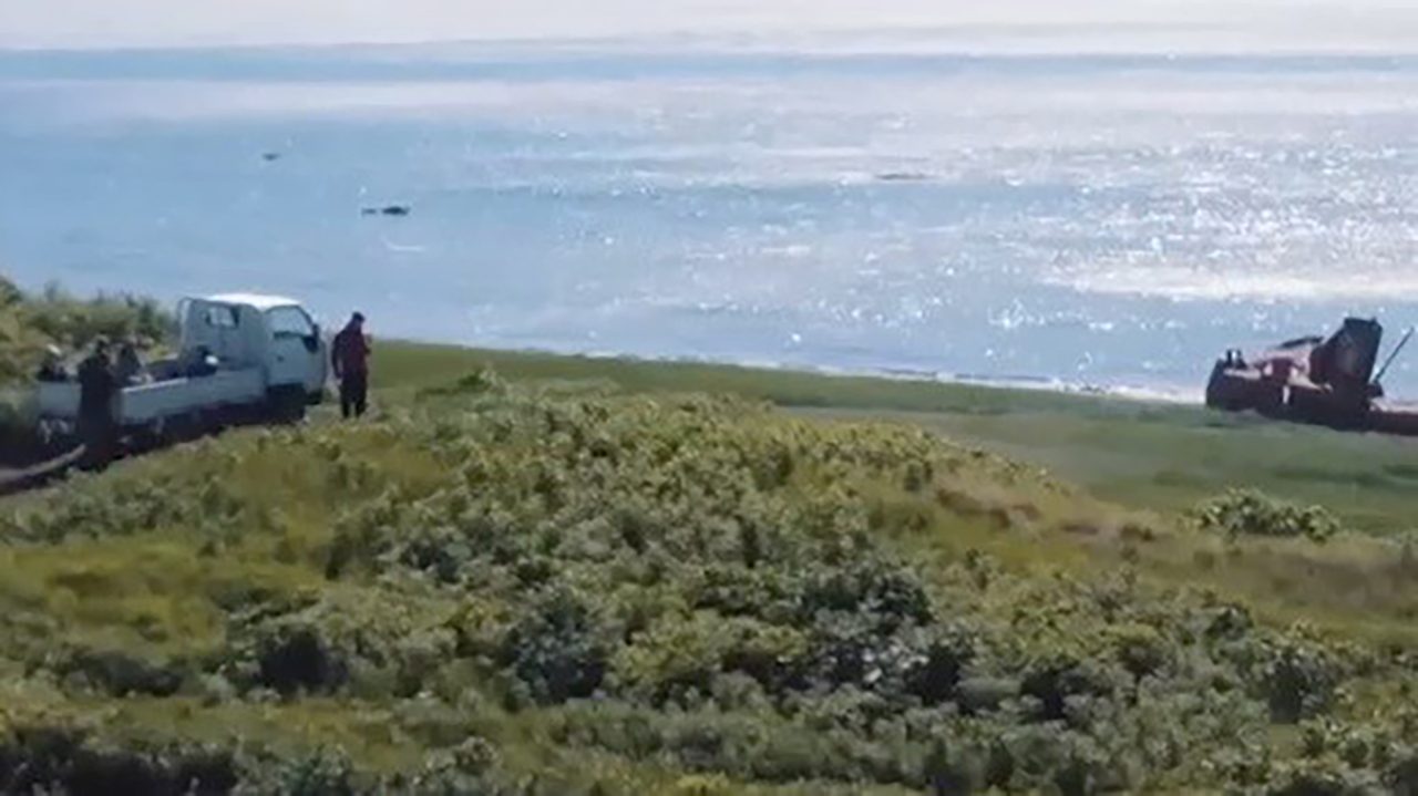 путешественникдв.рф