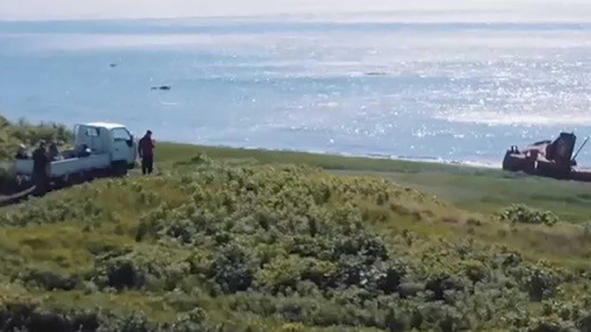 путешественникдв.рф