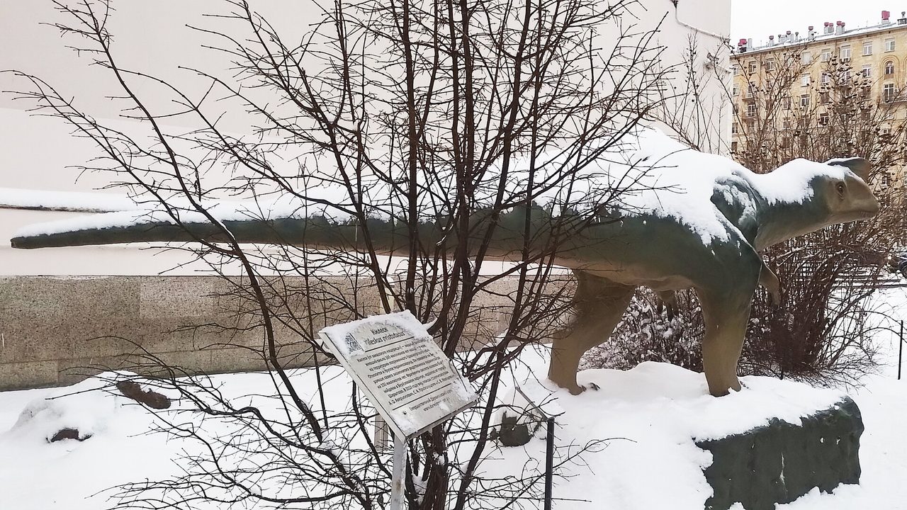 Puerta a Rusia