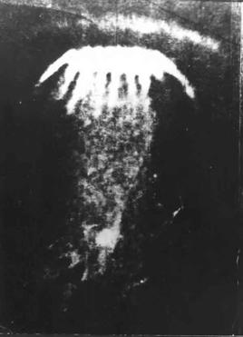 Foto de archivo