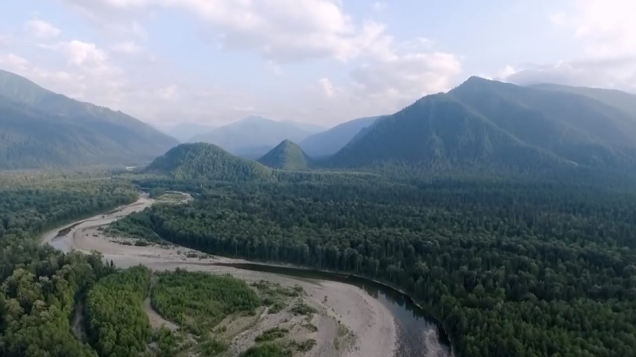 путешественникдв.рф