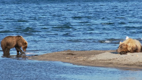 Дети Арктики 