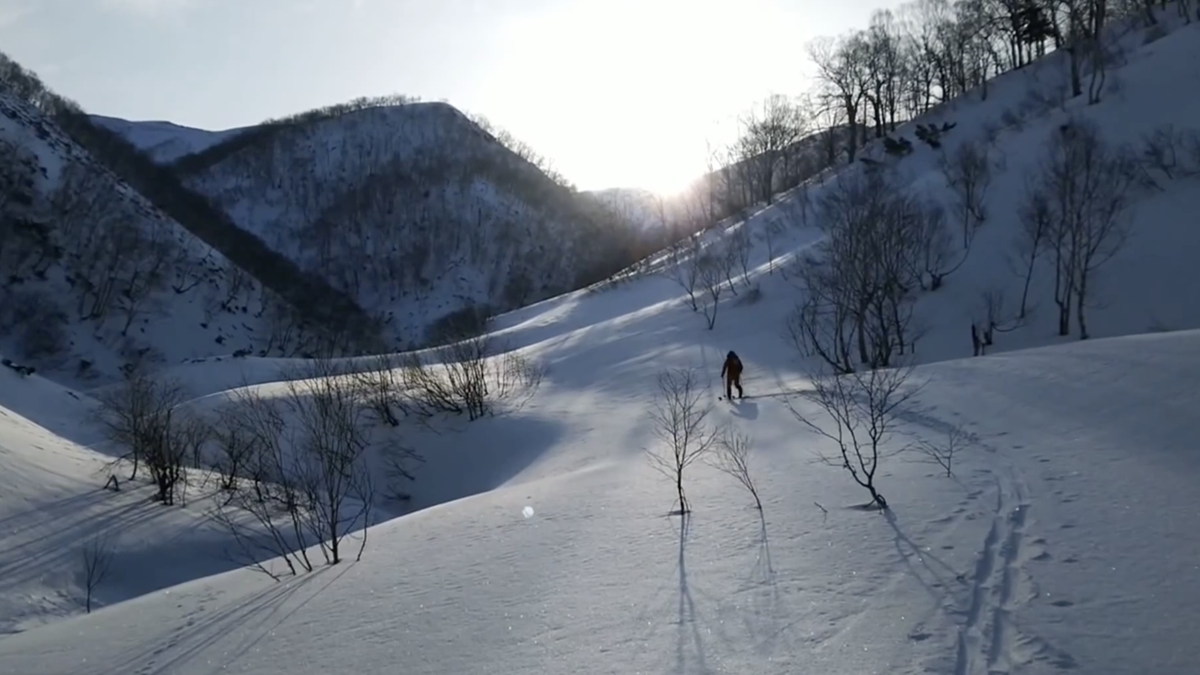 путешественникдв.рф 