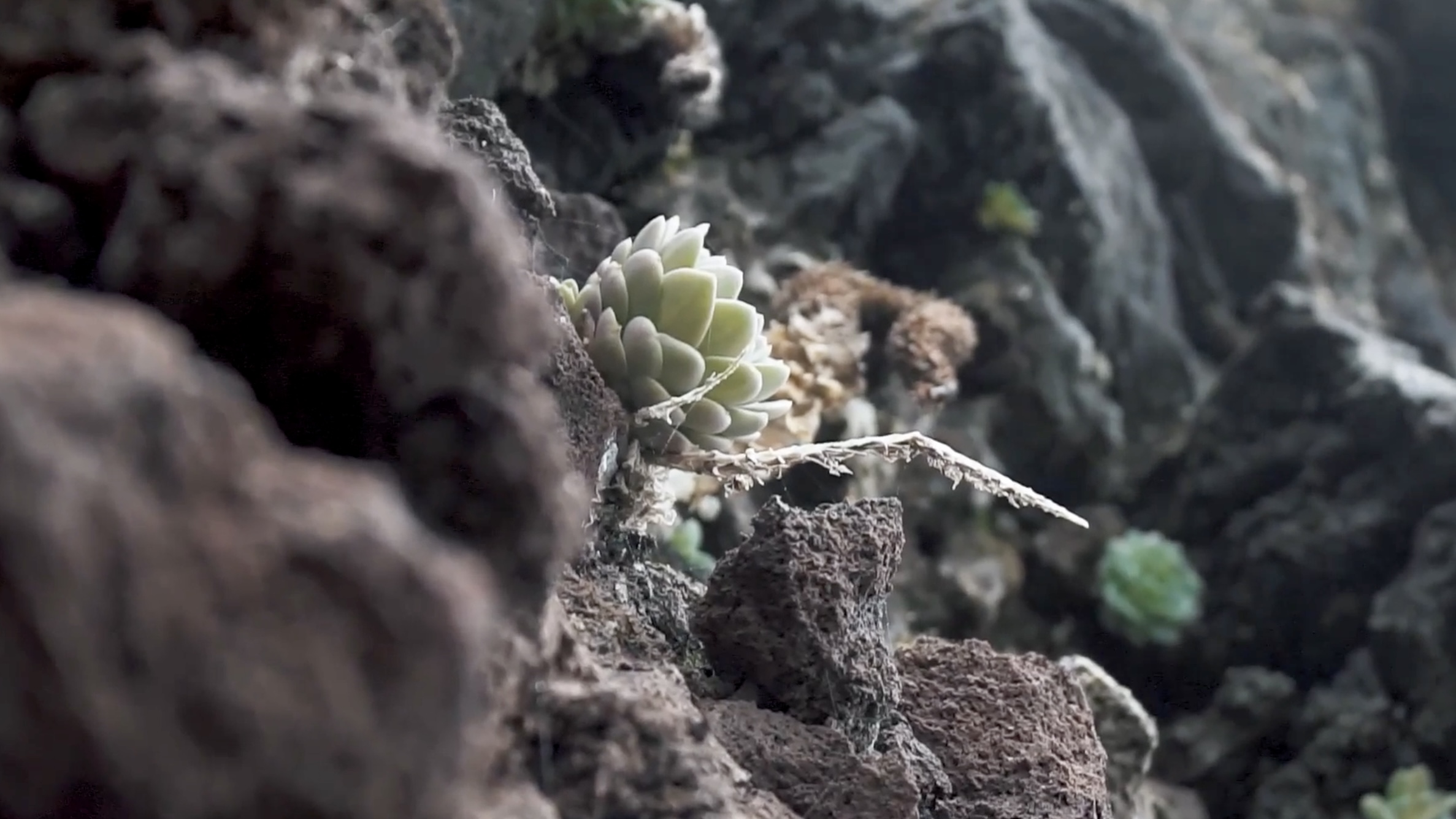 путешественникдв.рф