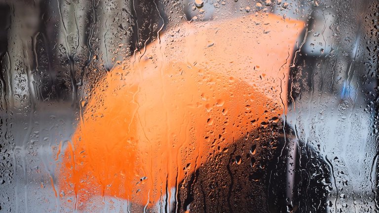 Germanovich; Trifonov_Evgeniy; Choreograph/Getty Images; Unsplash; Михаил Воскресенский/Sputnik