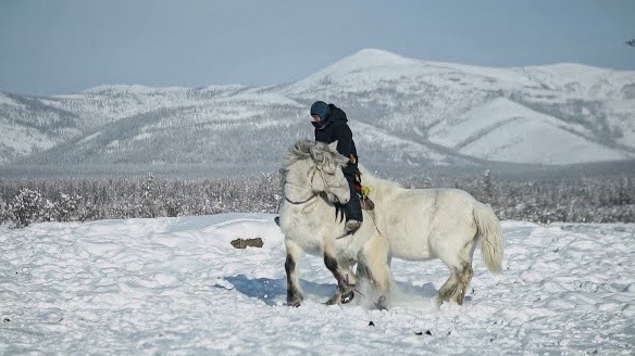 путешественникдв.рф