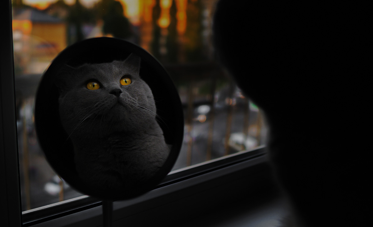 Sergey Kolesnikov/500px / Getty Images