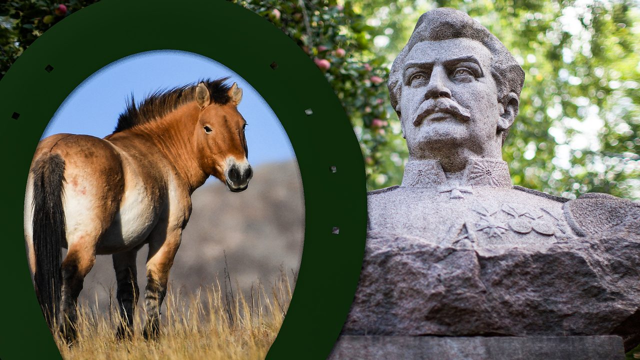 Ilyá Pitalev/Vladímir Astapkovich /Sputnik