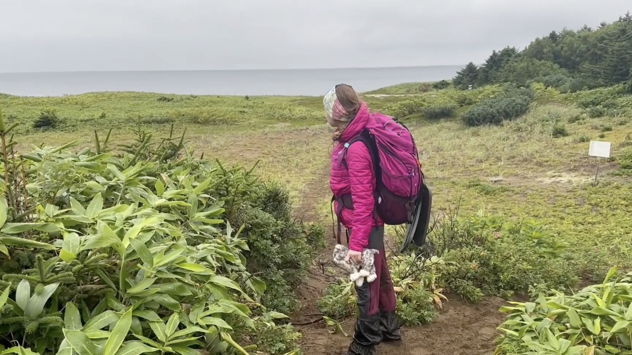 путешественникдв.рф