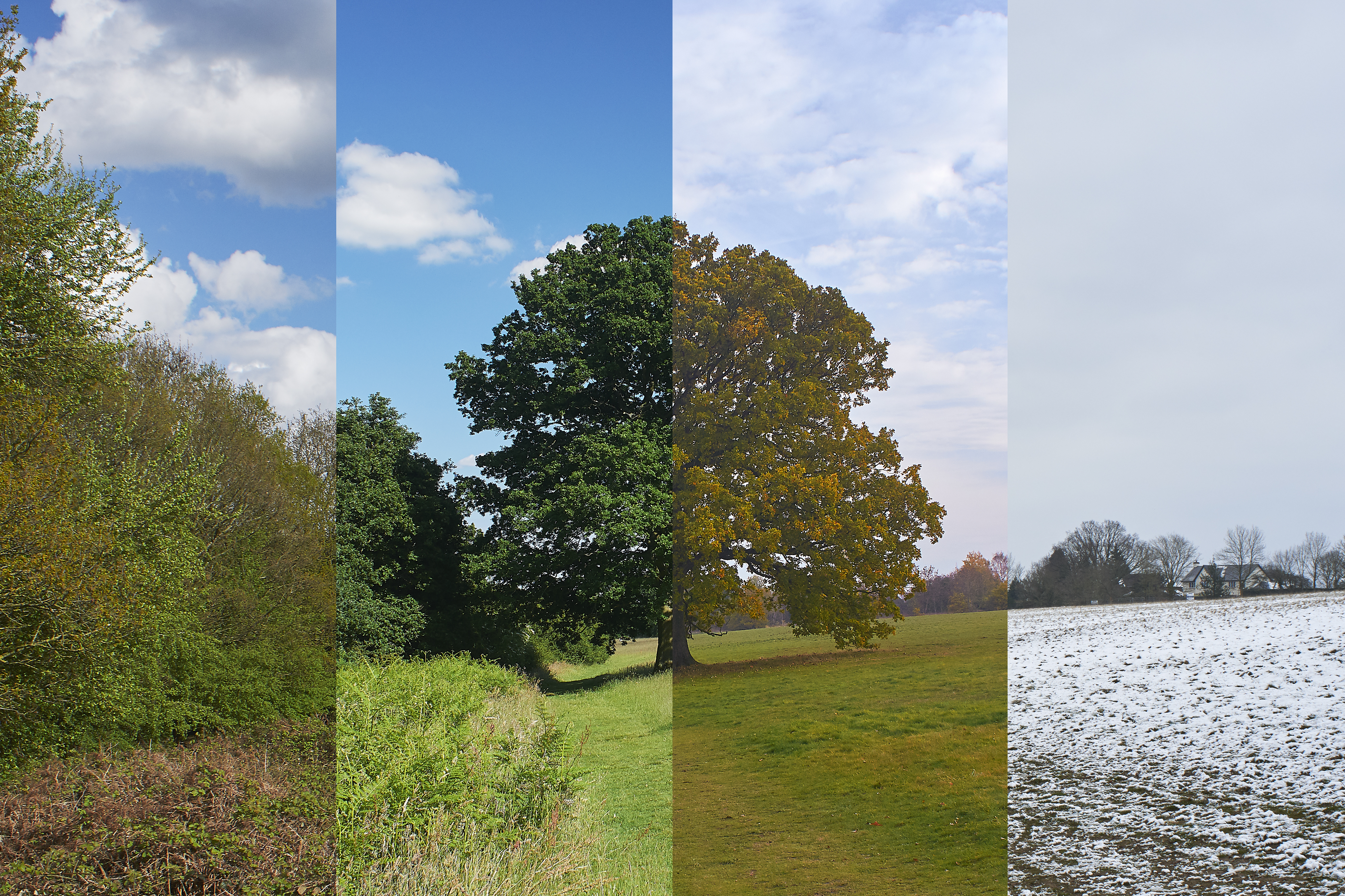 John Lamb / Getty Images