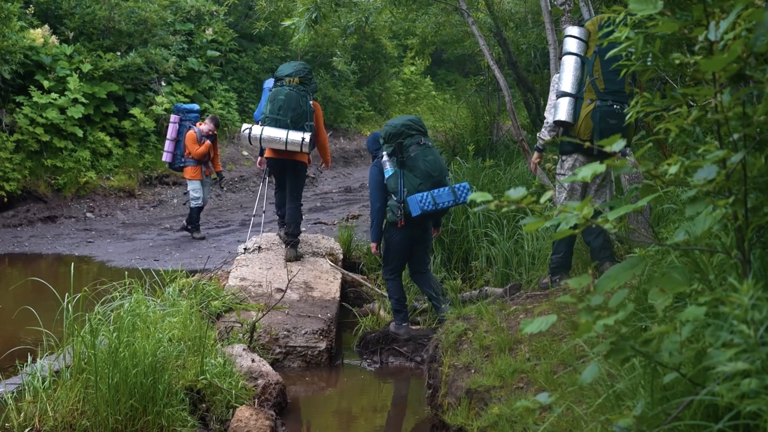 путешественникдв.рф