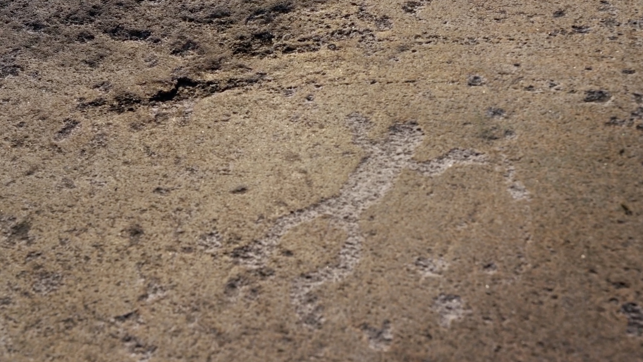 Дети Арктики