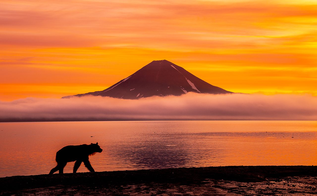 mantaphoto / Getty Images