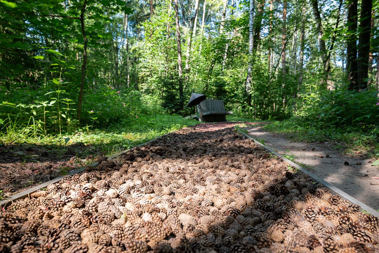 Parc national de Lossiny Ostrov