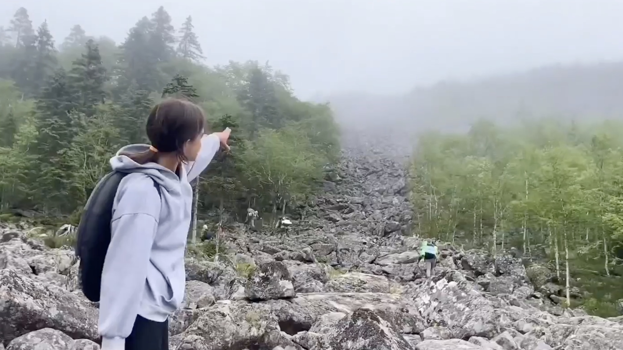 путешественникдв.рф  