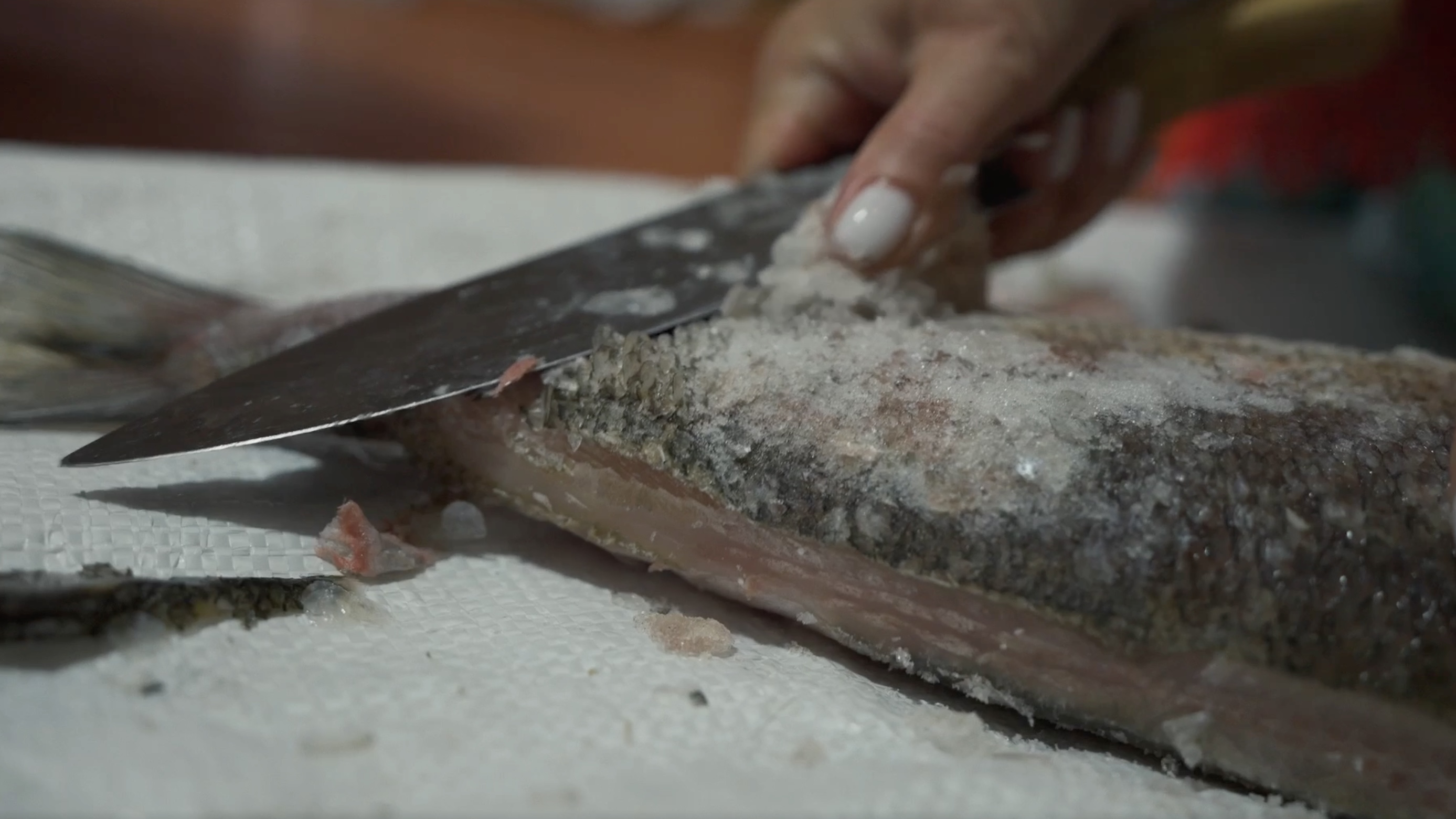 Дети Арктики