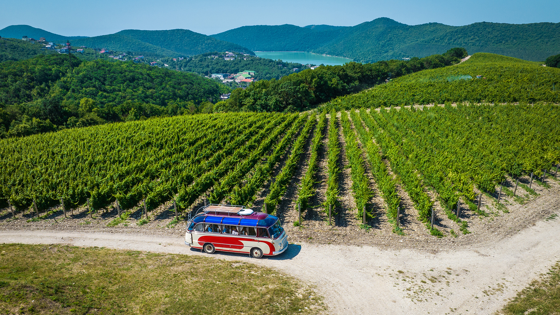 Јелизабета Полозова