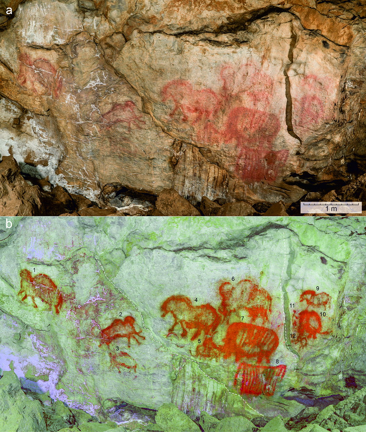S. Peshkov, N. Grigoryev, State Budgetary Institution of the RB, the Shulgan-Tash Cave Historical and Cultural Museum Reserve