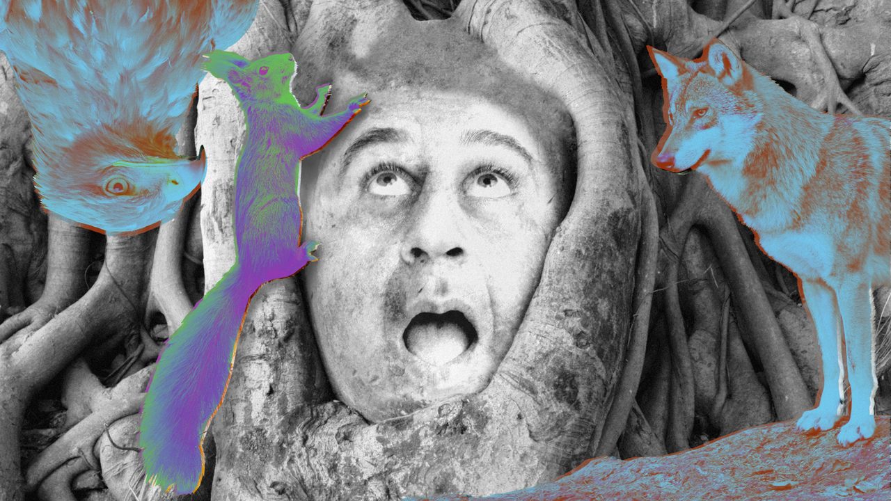 キラ・リシツカヤ（写真： Winfried Schäfer, Ottfried Schreiter, Engelmann/imageBROKER.com/Global Look Press, Patrick Pleul/dpa/Global Look Press; freepik.com)