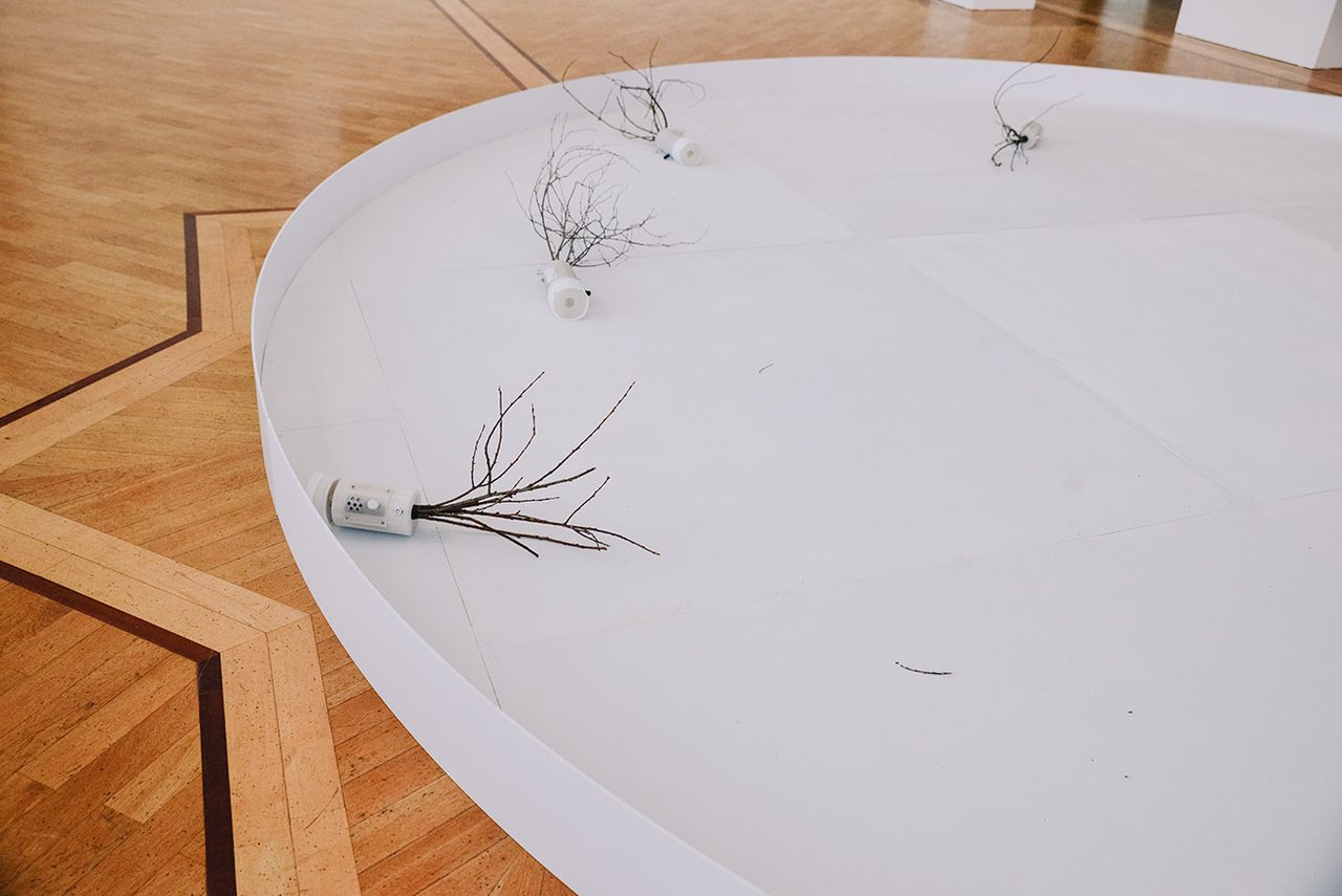 Biennale d'art contemporain de Tchouvachie