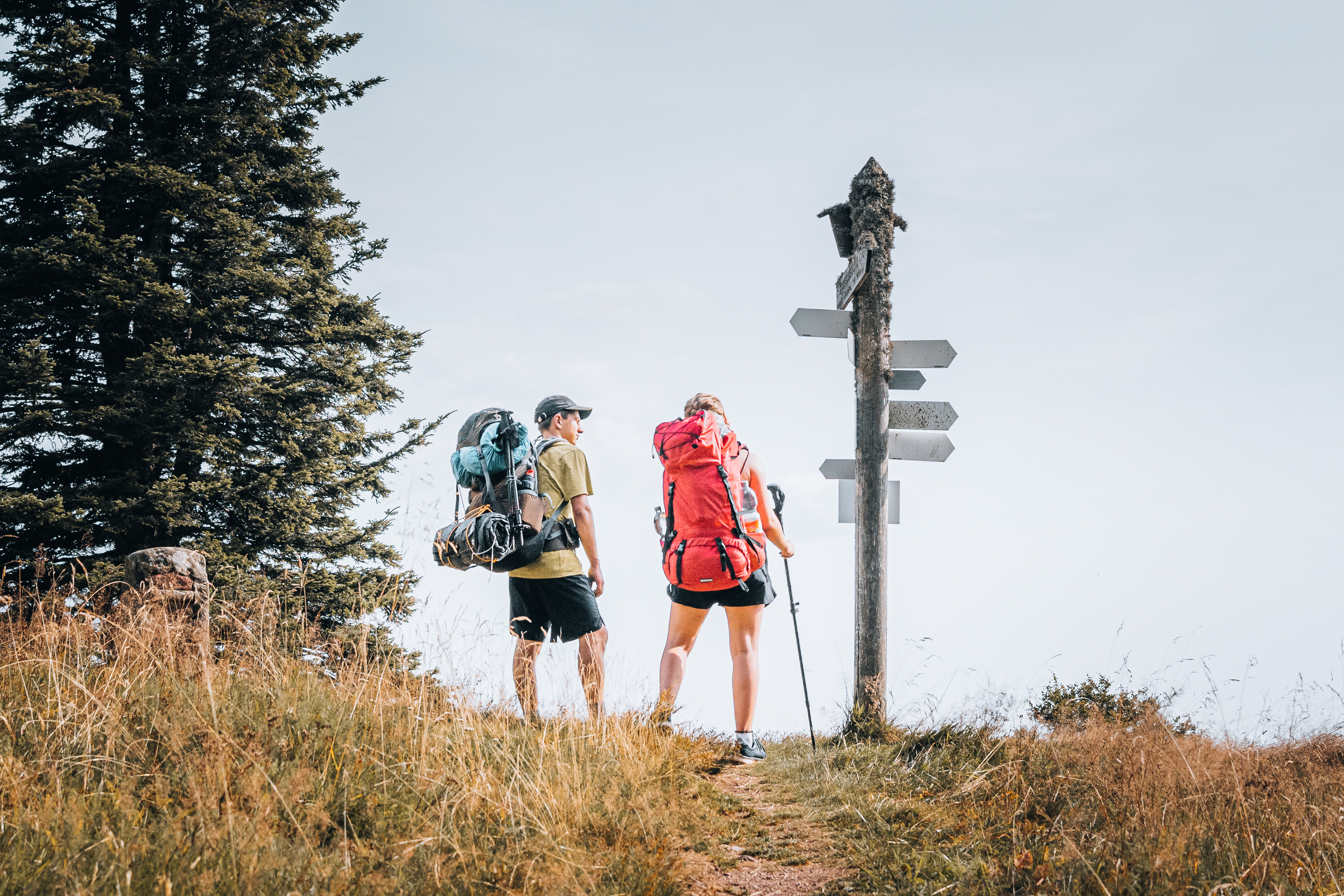 AscentXmedia / Getty Images