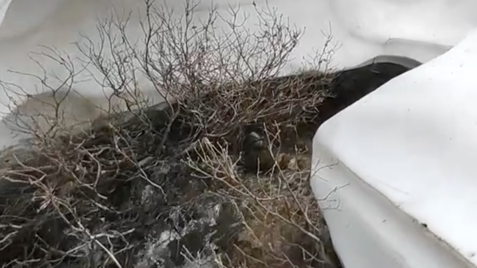 Mikhail Podolyak / visit-norilsk.ru