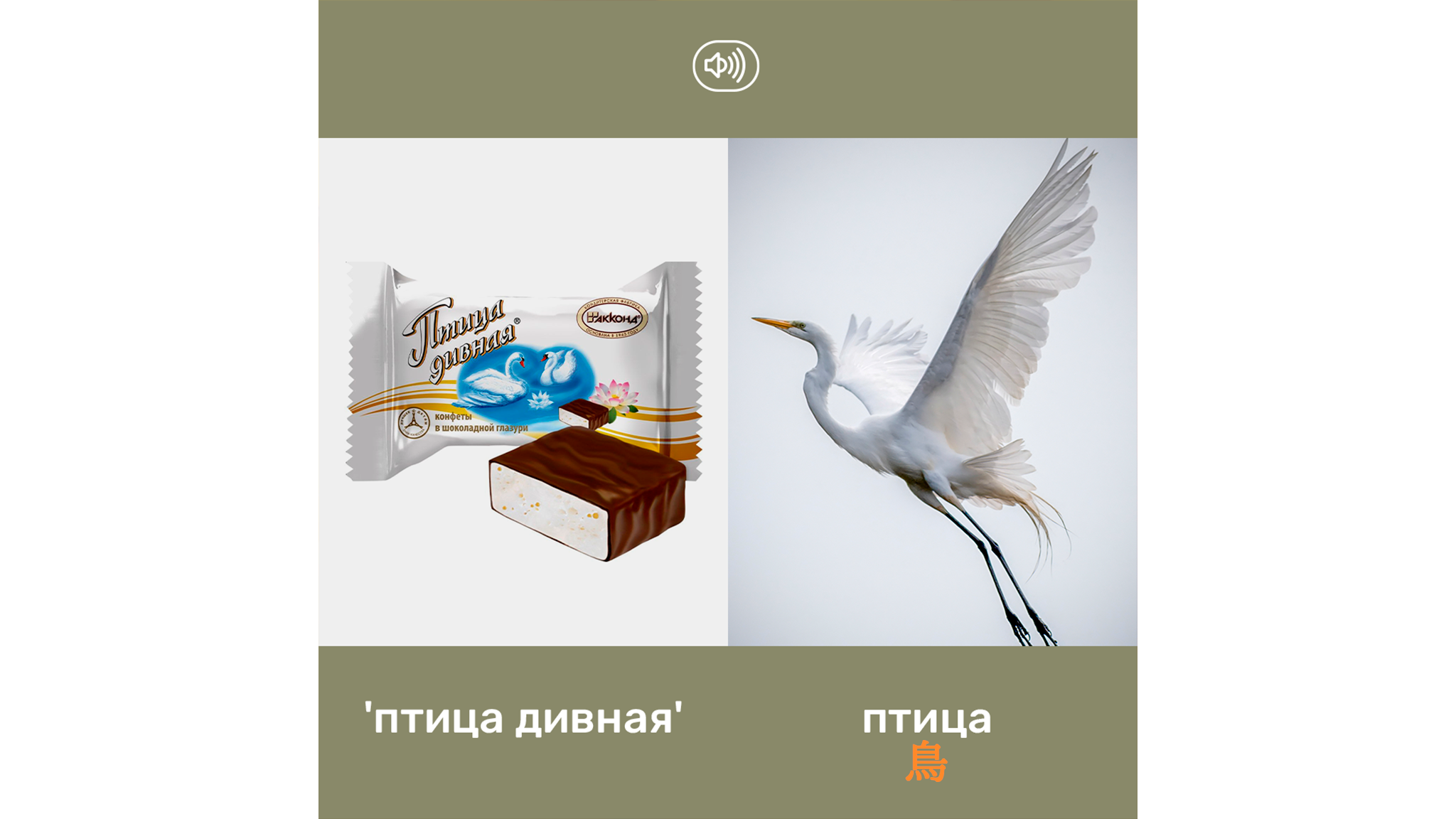 ロシア語　バレー百科事典 ロシア語 バレー百科事典