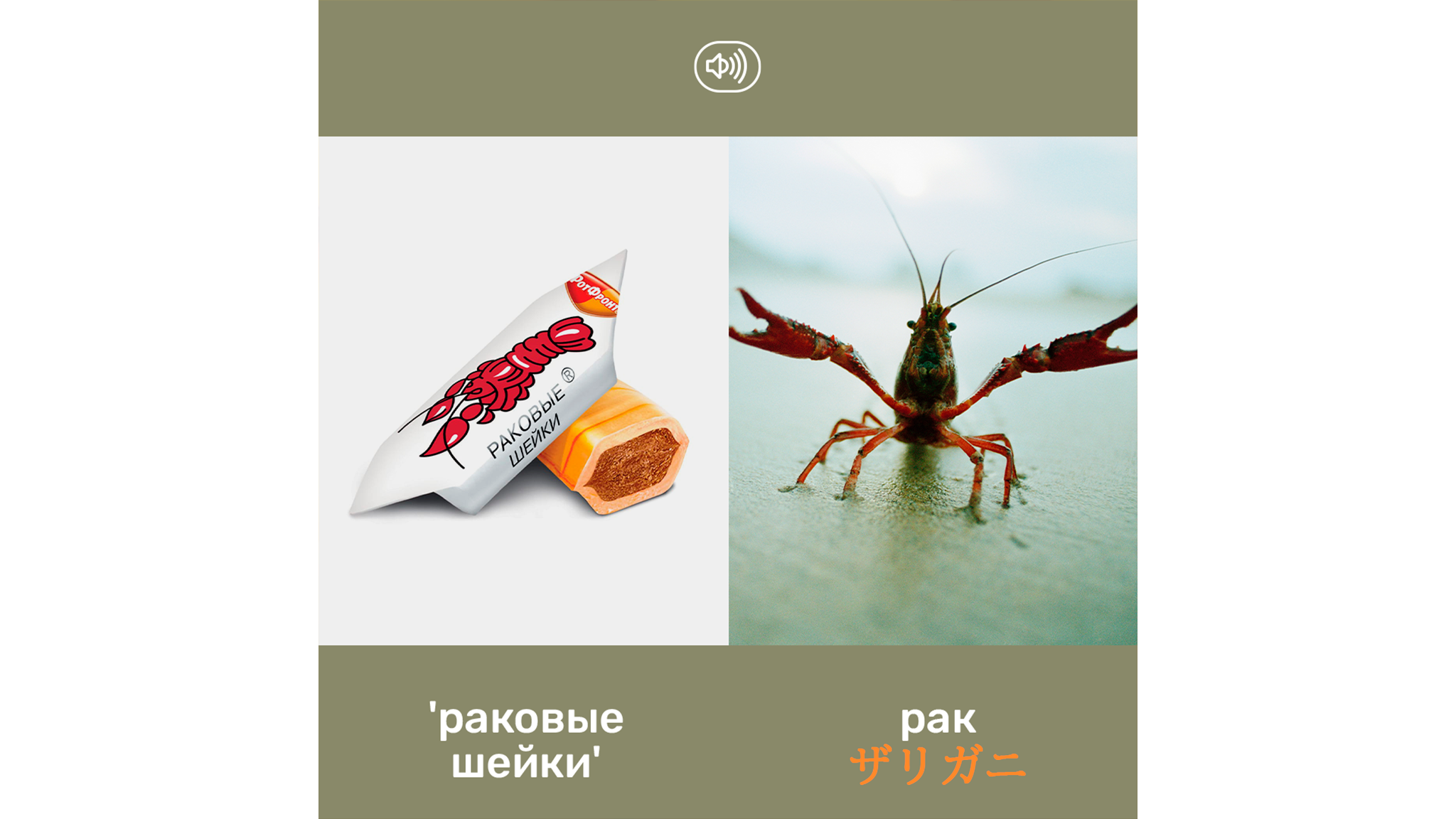 ロシア語教室】ロシアのお菓子の独創的な名前