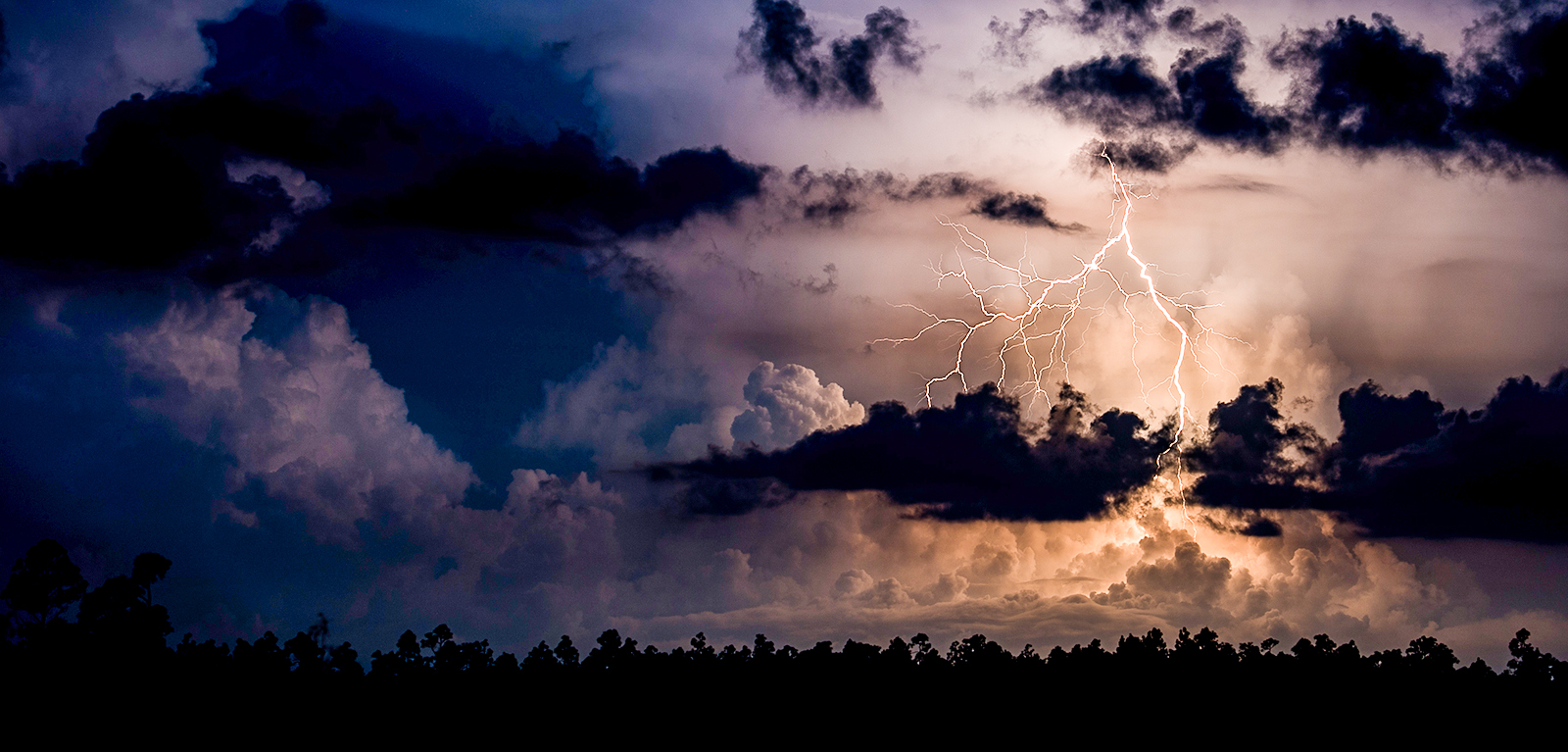 Wirestock / Getty Images