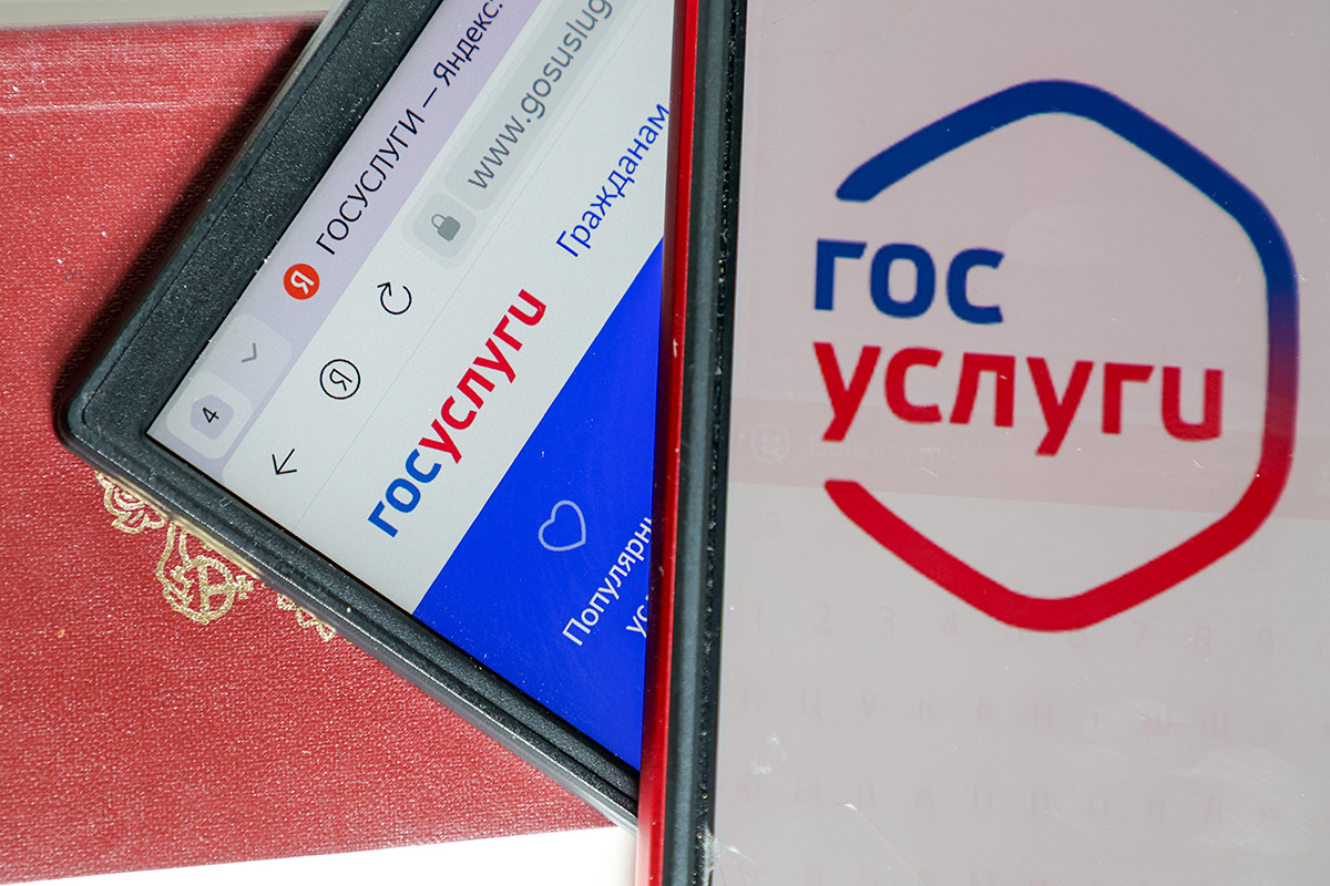 阿列克谢·贝尔金 / NEWS.ru / 塔斯社 / TASS