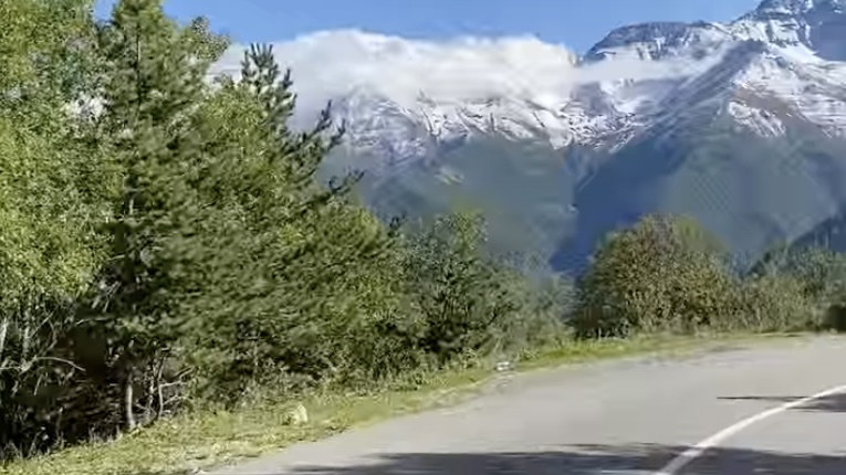 instagram.com/gidpoosetii