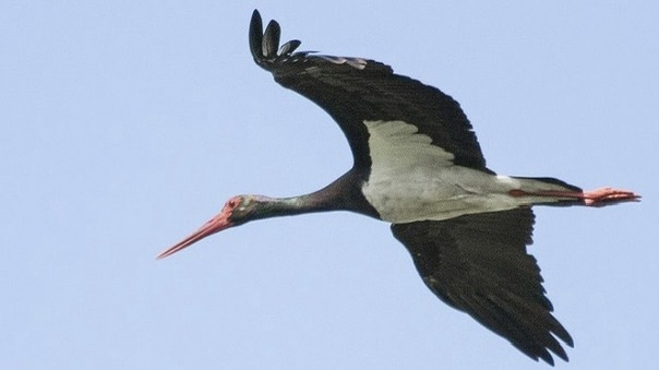 Наша Сибирь 4K