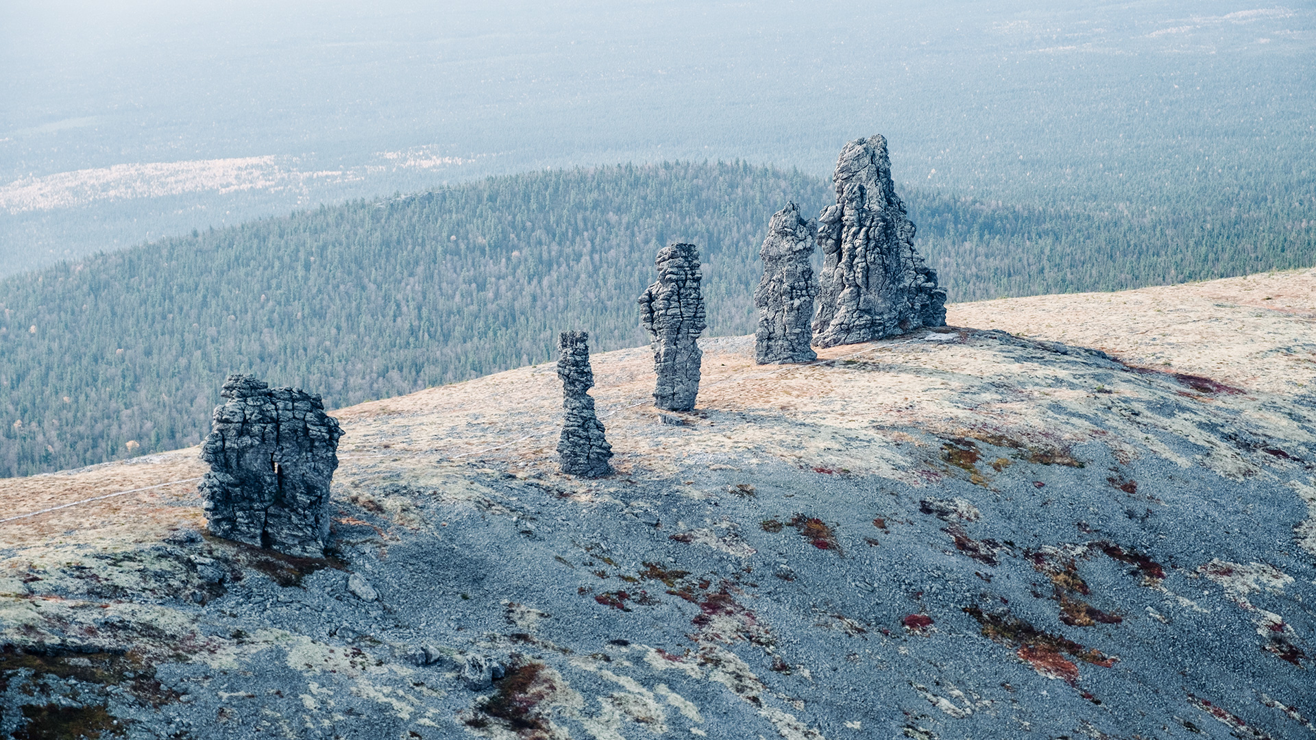 叶琳娜·利塞基娜 / Getty Images / Getty Images