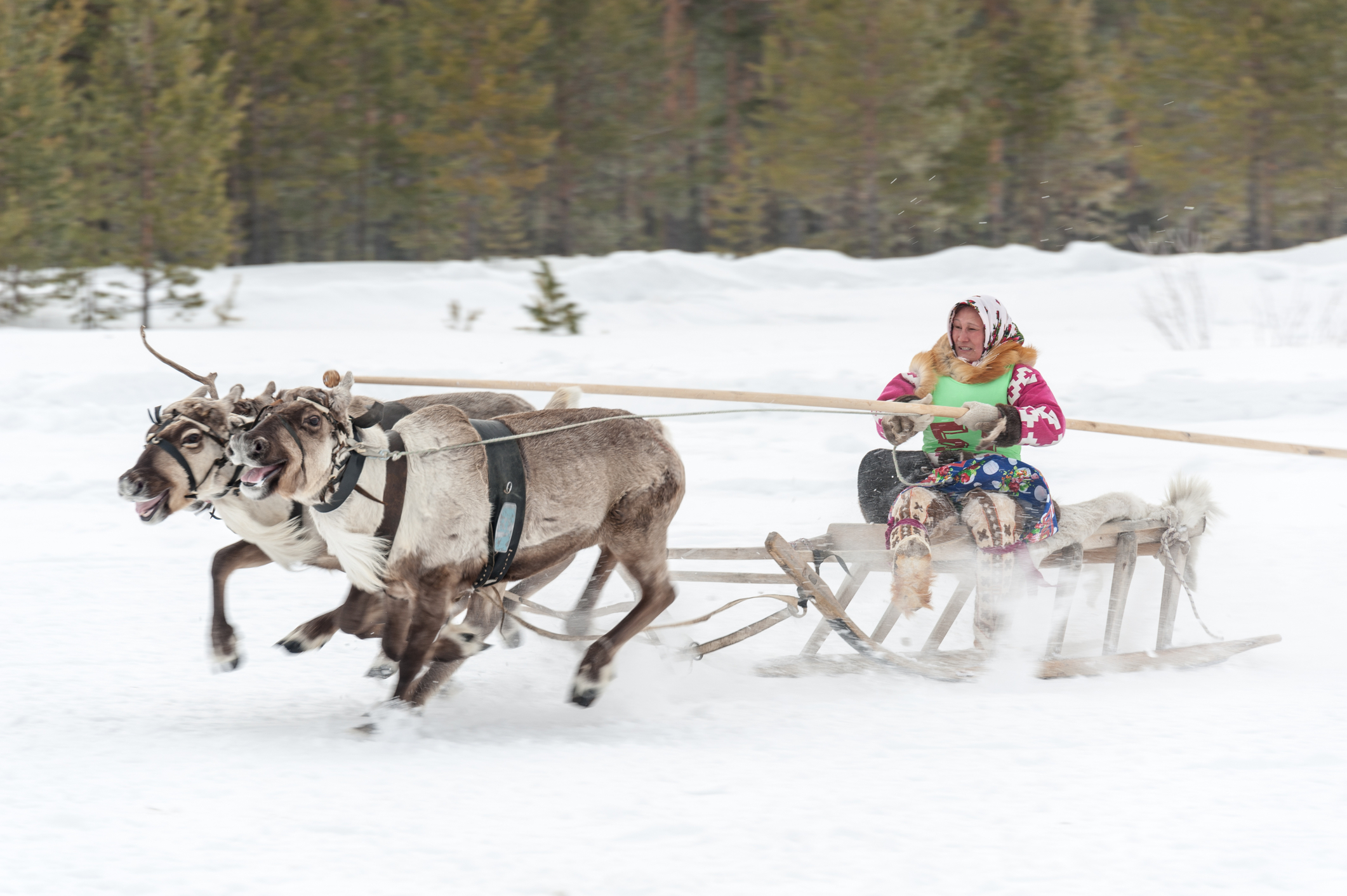 Legion Media / Legion Media