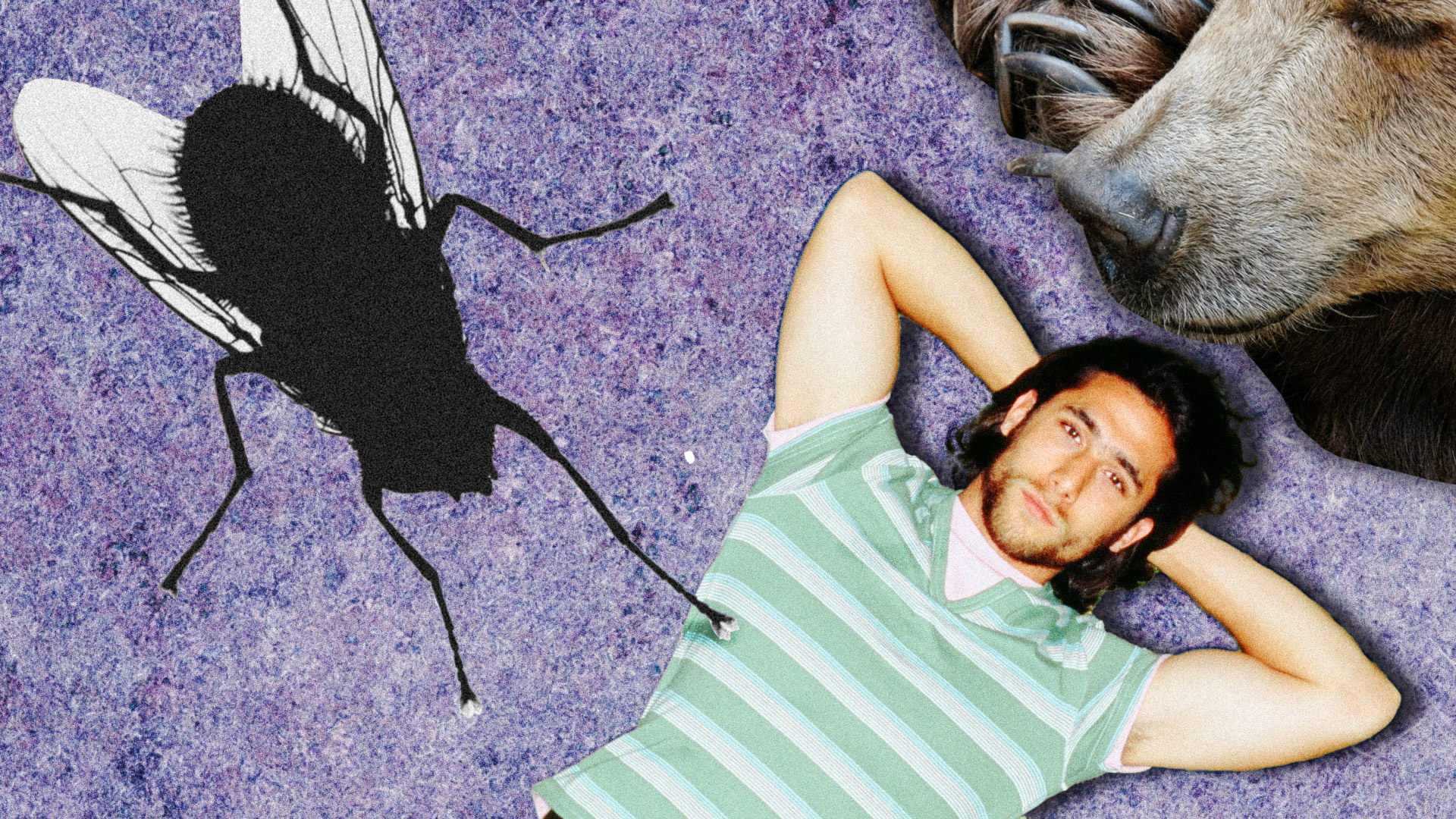 基拉·利西茨卡娅 （照片元素来源：Unsplash.com；imageBROKER.com / Global Look Press；鲍勃·托马斯 / Getty Images）