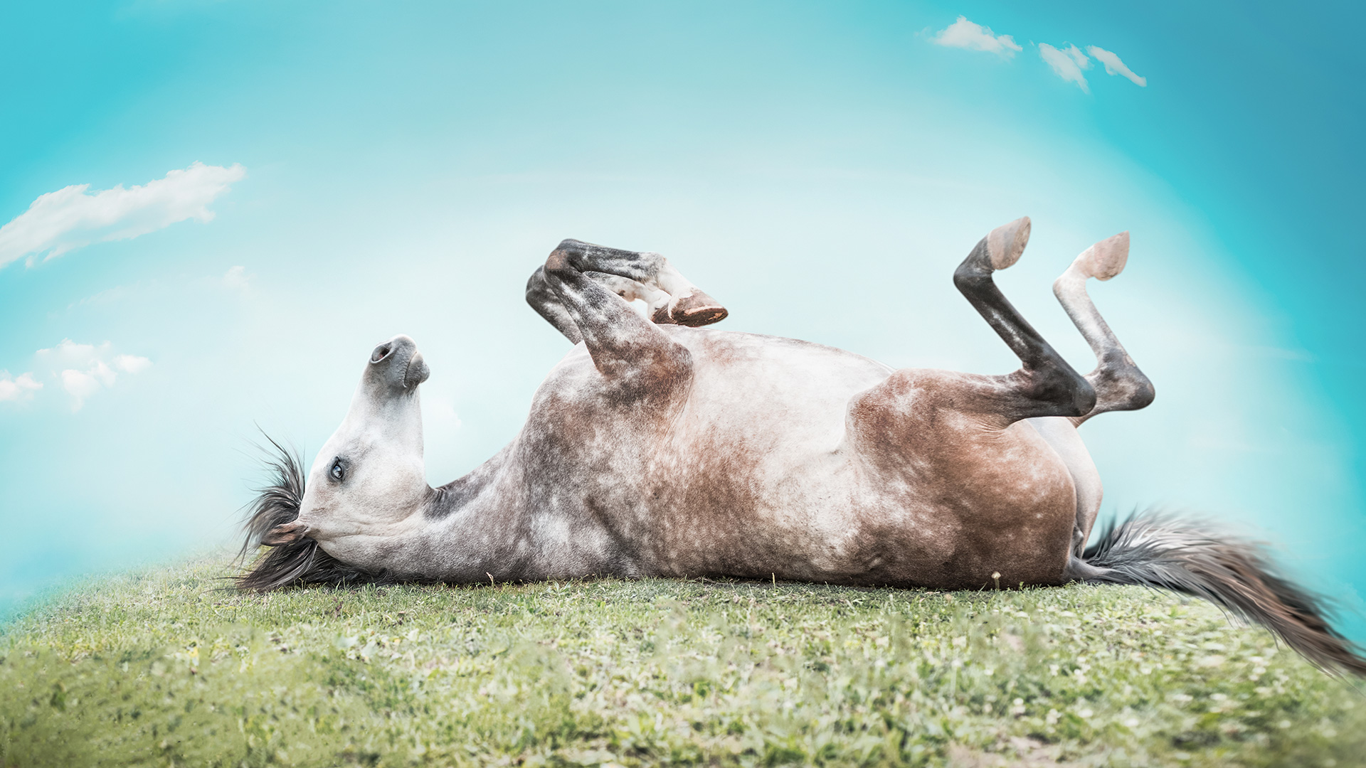 vicuschka/Getty Images / Getty Images