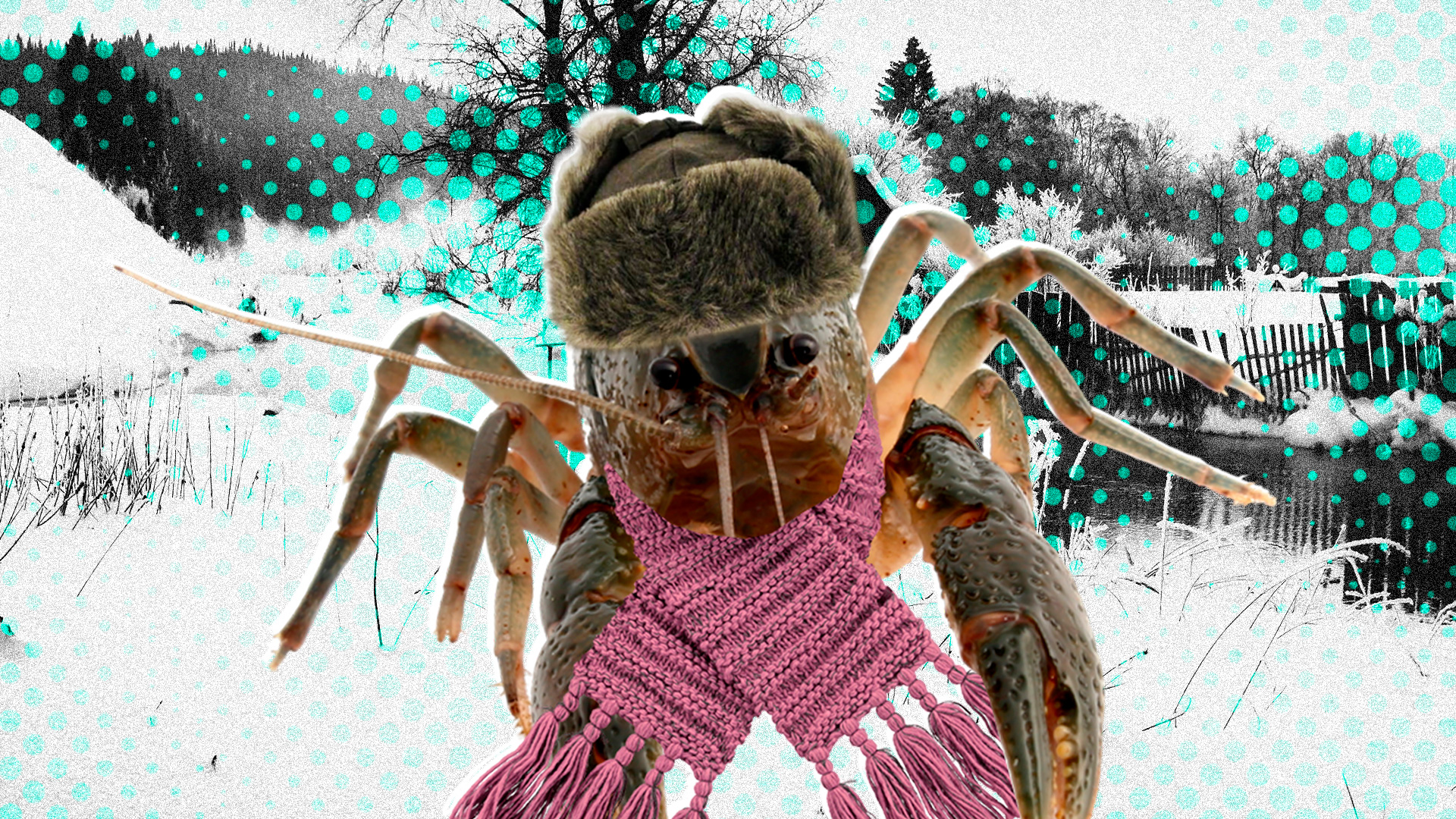 基拉·利西茨卡娅 （照片元素来源：Legion Media；斯维特兰娜·克拉尤什金娜/Getty Images）