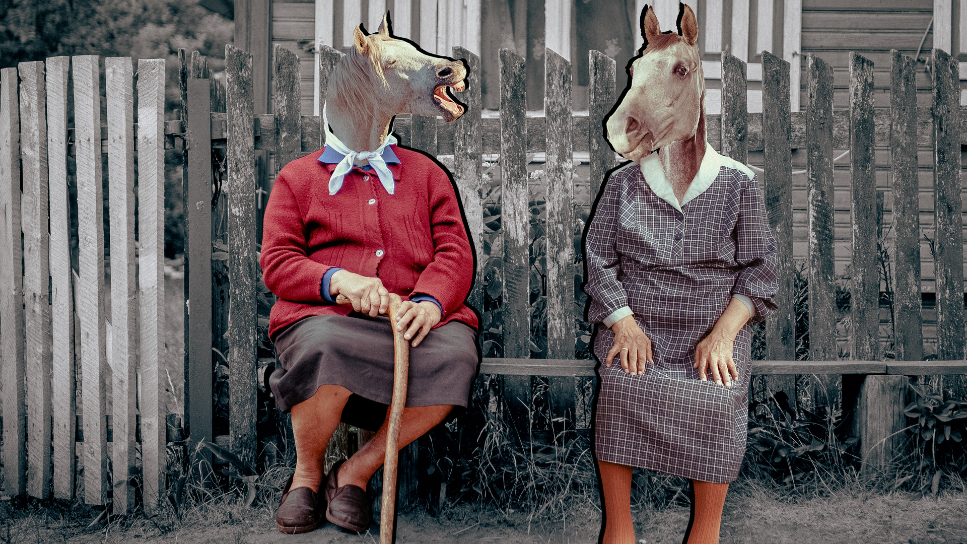 基拉·利西茨卡娅（照片元素来源：埃德温·雷姆斯伯格、Viktor_Kitaykin<维克托·基塔金>、蒂姆·麦克弗森、USO/Getty Images）