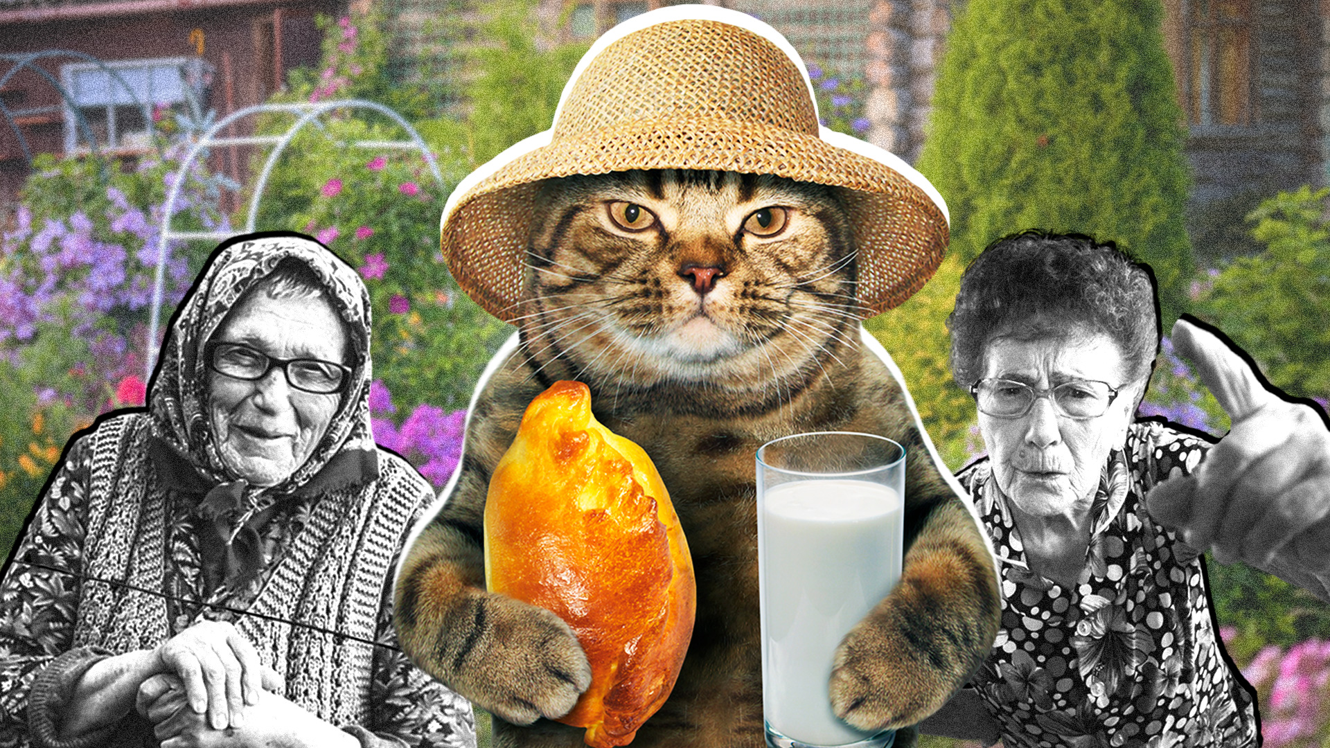 基拉·利西茨卡娅（照片元素来源：TatyanaGl、iridi、LordHenriVoton/Getty Images）