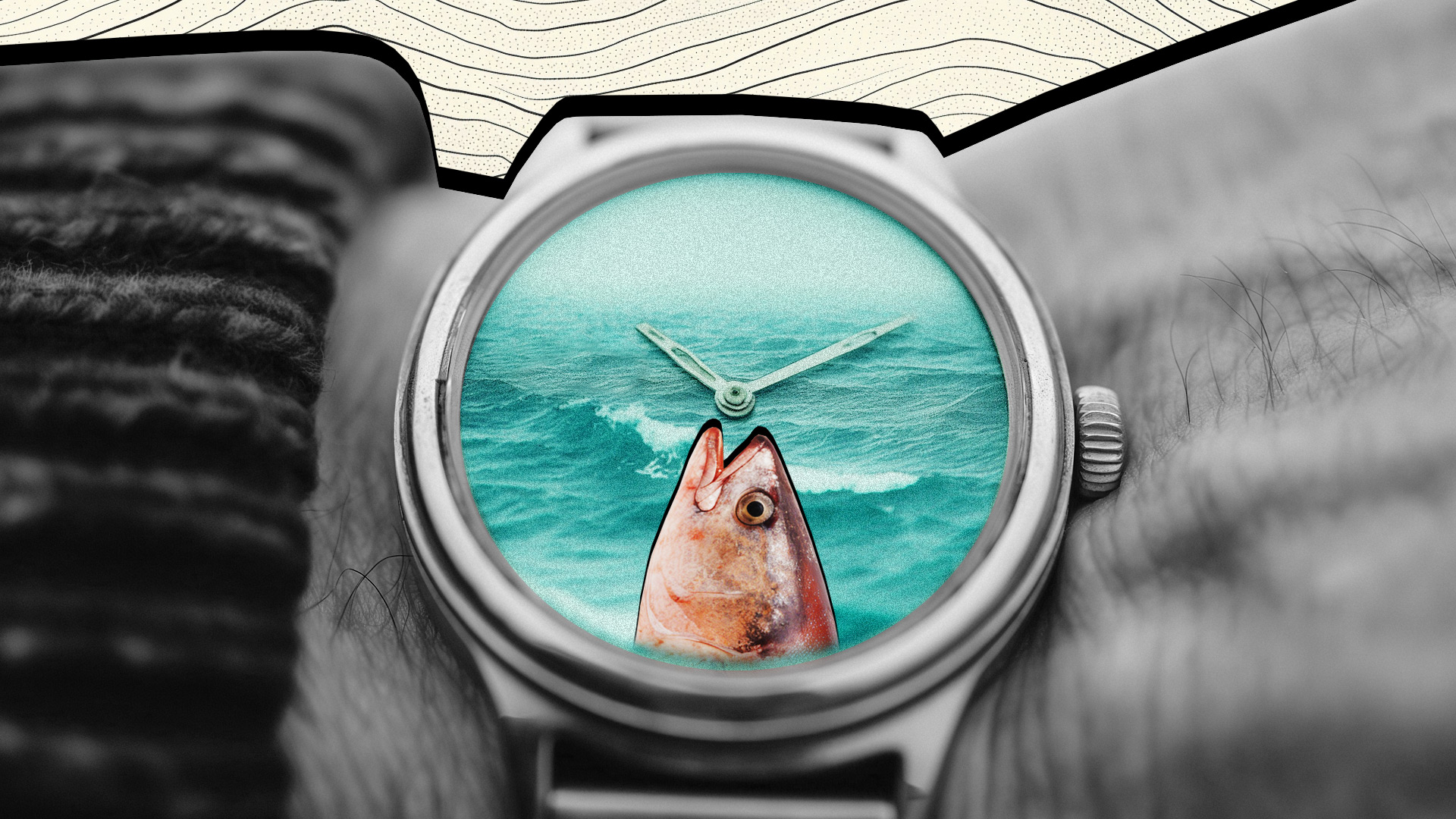 基拉·利西茨卡娅