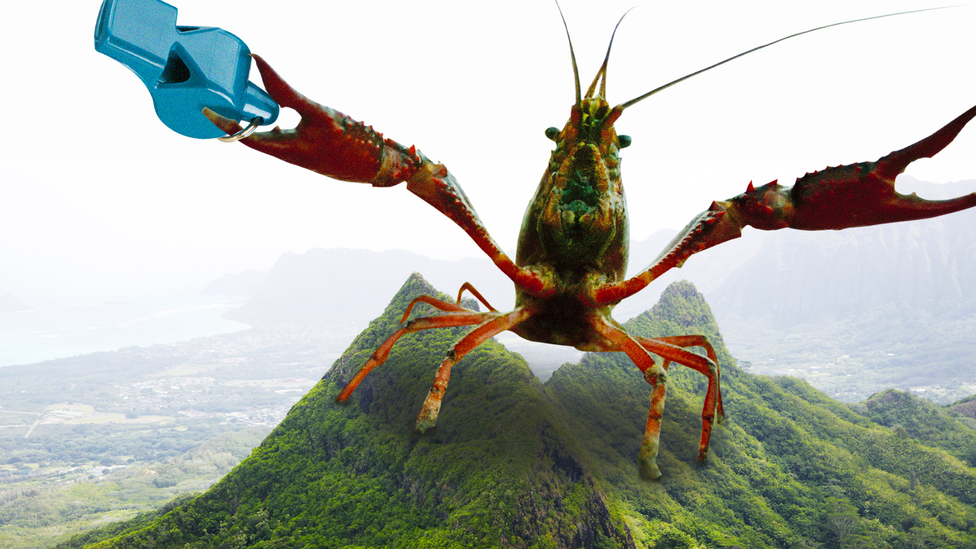 基拉·利西茨卡娅（照片元素来源：拉格纳·施穆克、艾伦·巴克斯特/ Getty Images）