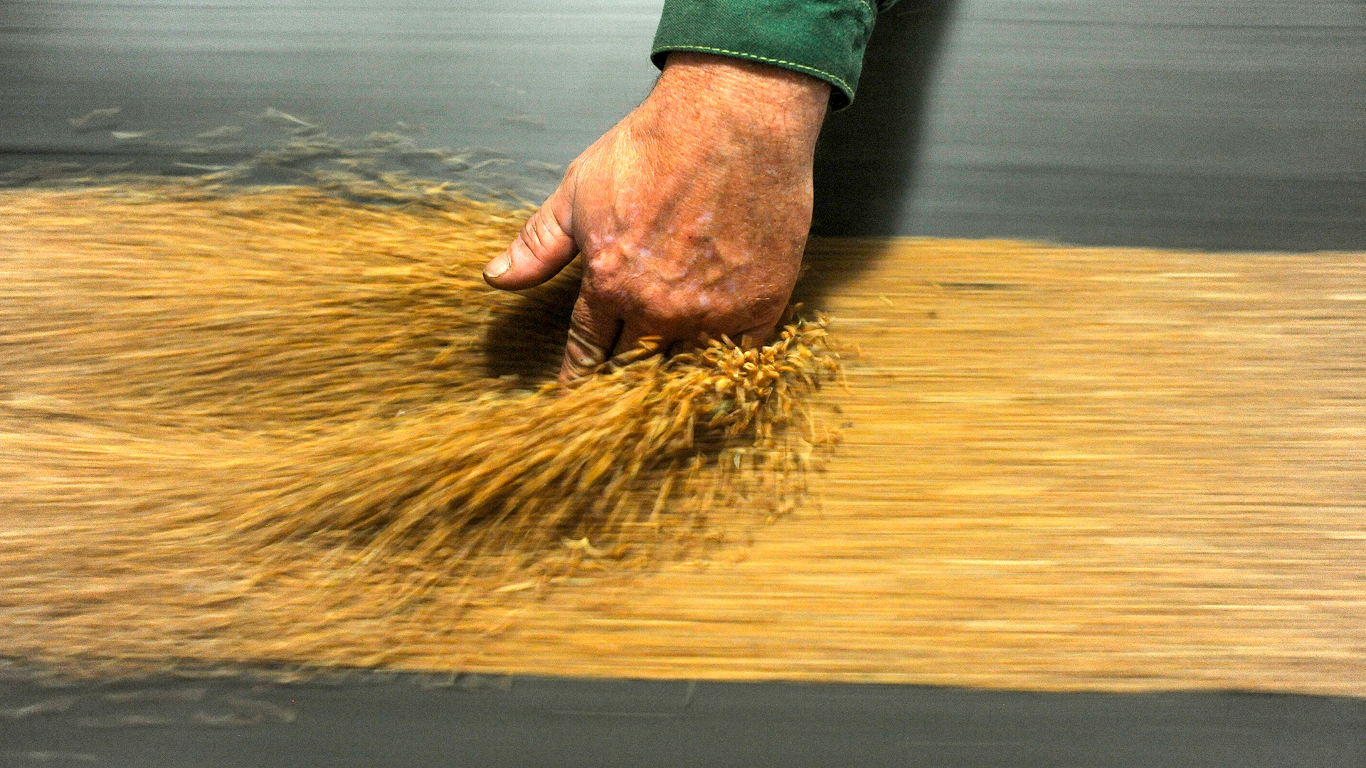 阿列克谢·苏霍鲁科夫/俄罗斯卫星通讯社 / Sputnik