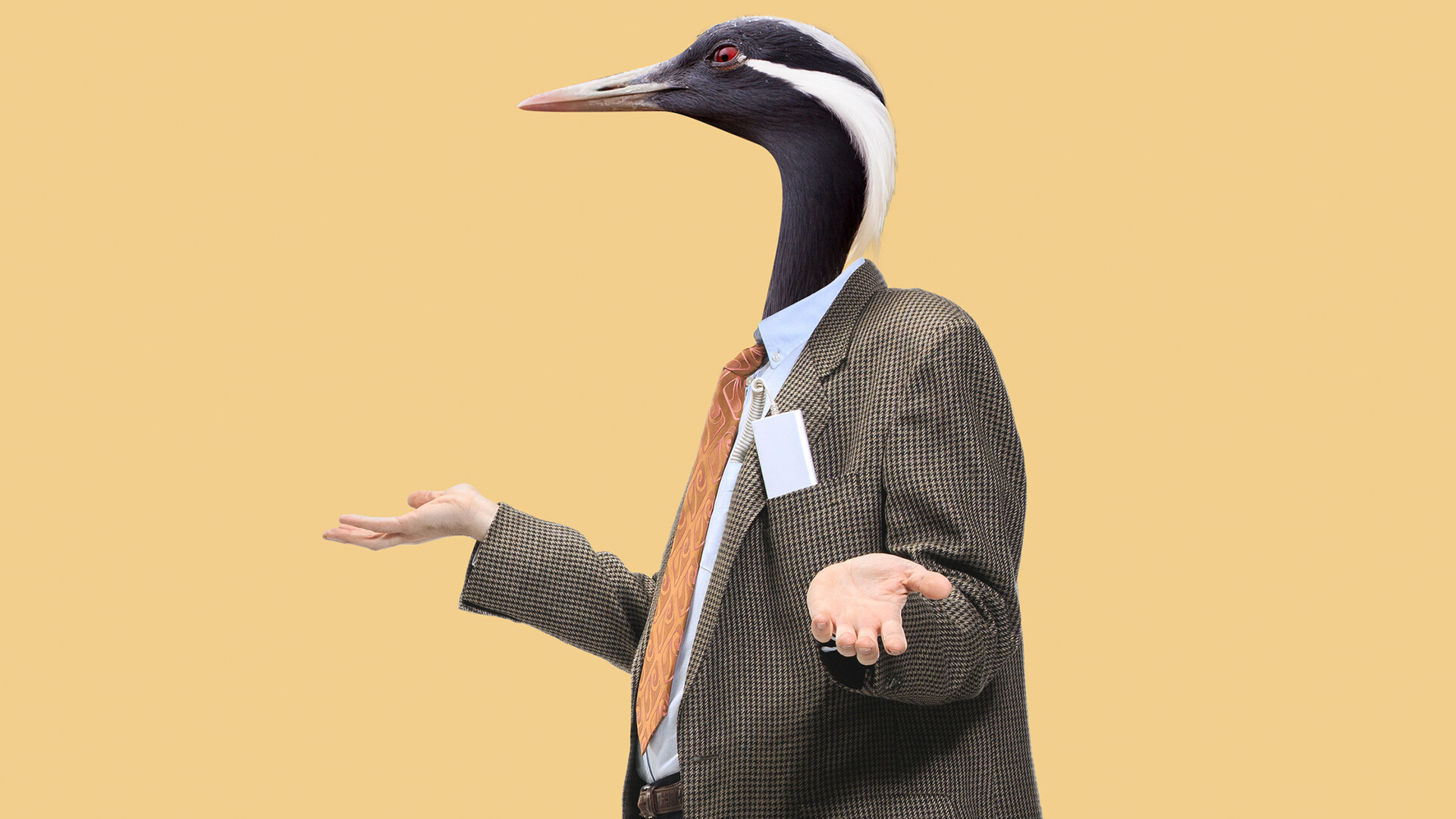 Legion Media / Legion Media