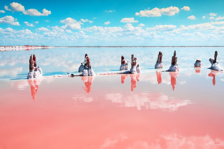 奥尔加·加夫里洛娃 / Getty Images / Getty Images
