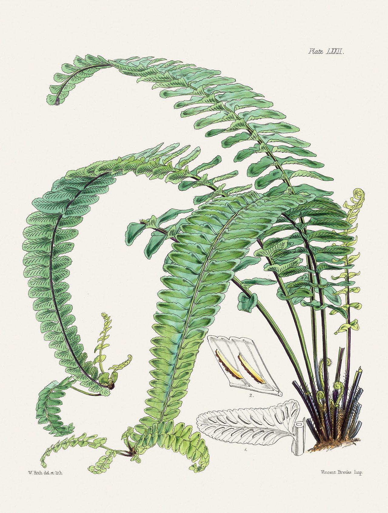 The Nature Notes/Getty Images