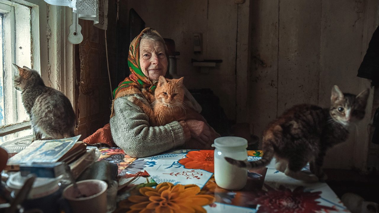 Ольга Папина, Волгоград. «Бабушка Надя и ее кошки».