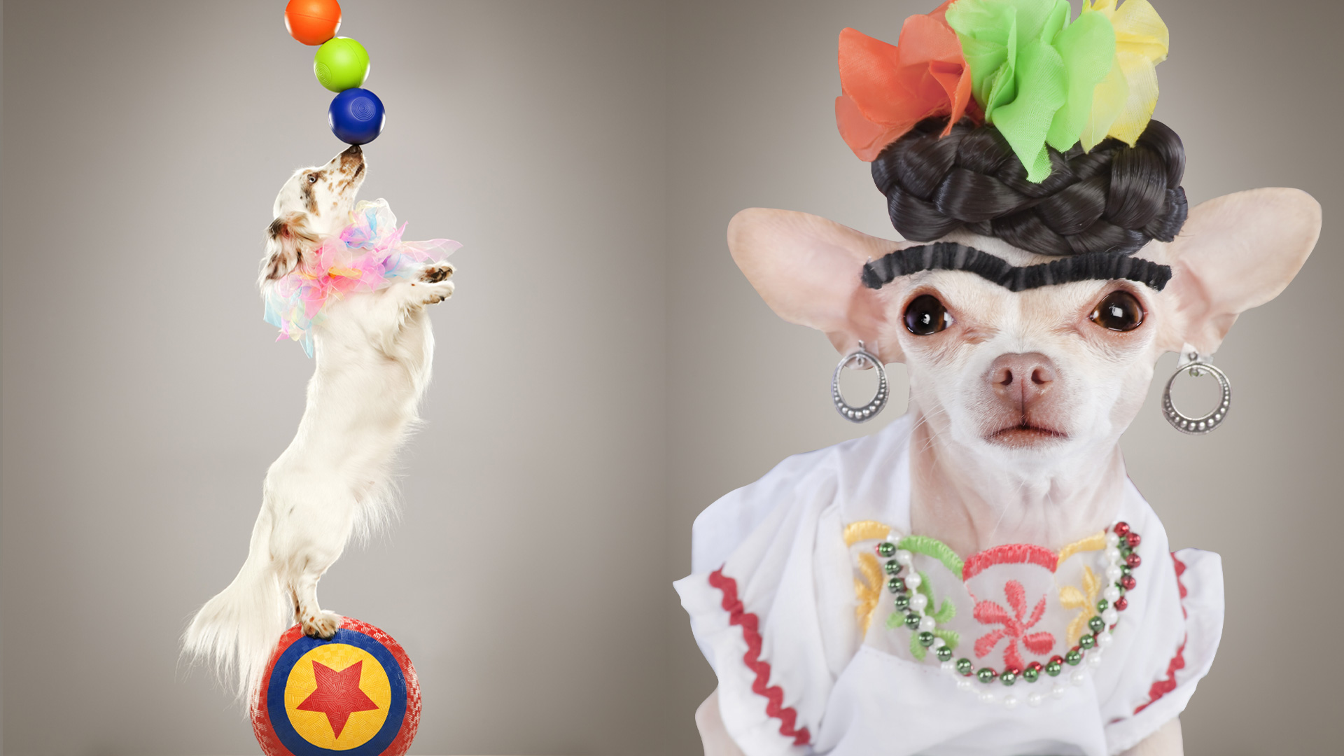 Janela para a Rússia (Foto: Karen Moskowitz, maiteali/Getty Images)