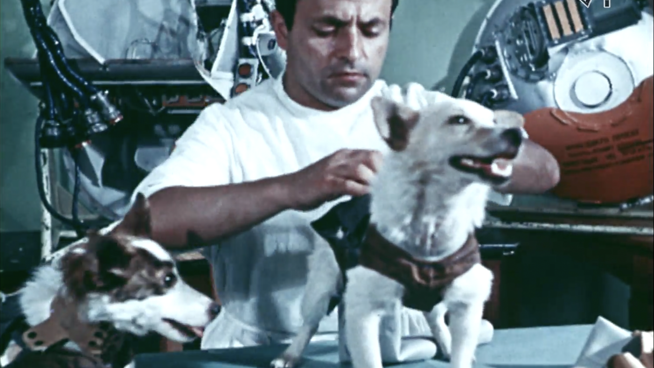 RUPTLY, 俄罗斯国立影像档案馆（РГАКФД, RGAKFD）