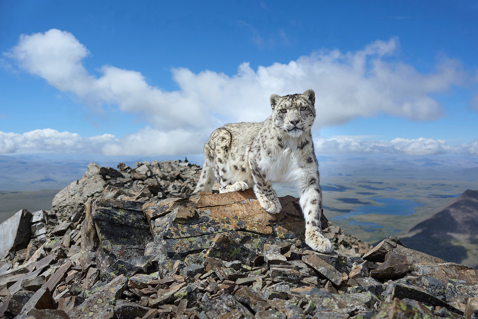 Service de presse du 11e concours photo Le plus beau pays