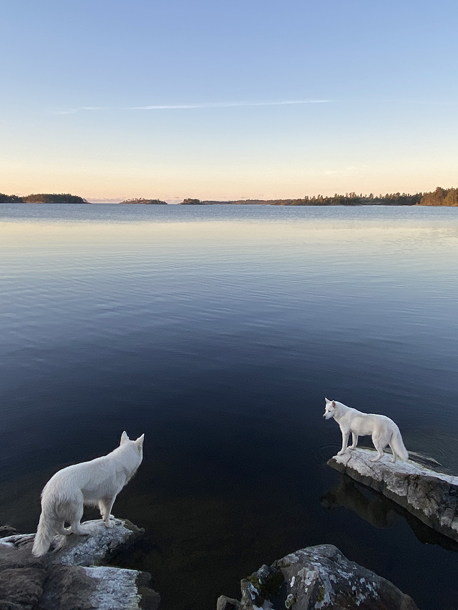 Service de presse du 11e concours photo Le plus beau pays